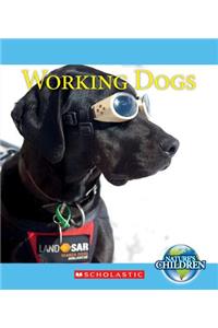 Working Dogs (Nature's Children) (Library Edition)