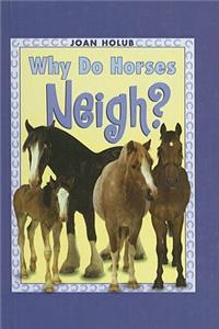 Why Do Horses Neigh?