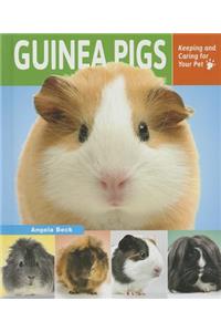 Guinea Pigs