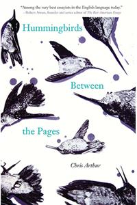 Hummingbirds Between the Pages
