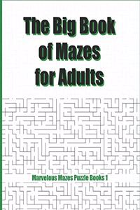 Big Book of Mazes for Adults