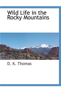 Wild Life in the Rocky Mountains