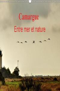 Camargue Entre mer et nature 2018