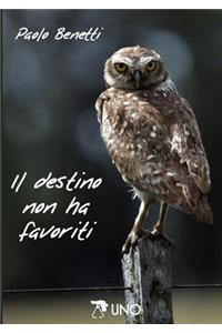 Il Destino Non Ha Favoriti