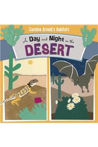 A Day and Night in the Desert