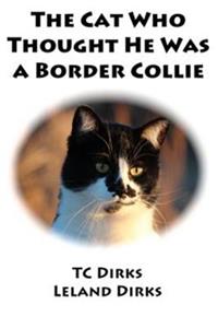 Cat Who Thought He Was a Border Collie