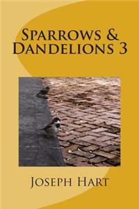 Sparrows & Dandelions 3