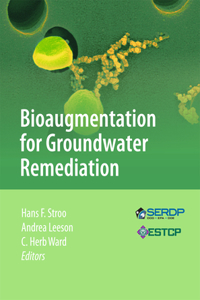 Bioaugmentation for Groundwater Remediation