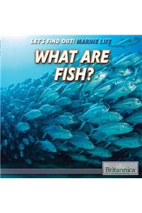 What Are Fish?