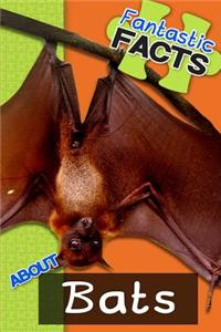 Fantastic Facts about Bats