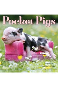 2019 Pocket Pigs Wall Calendar