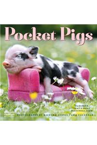 Pocket Pigs Wall Calendar 2019: The Famous Teacup Pigs of Pennywell Farm