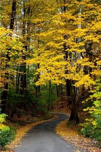 A Road Through a Forest of Yellow Autumn Leaves Journal
