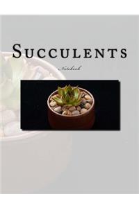 Succulents Notebook