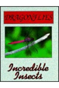 Dragonflies