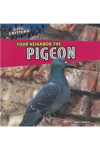 Your Neighbor the Pigeon