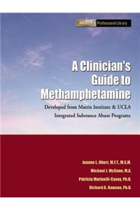 A Clinician's Guide to Methamphetamines: Developed from Matrix Institute and UCLA's Integrated Substance Abuse Programs