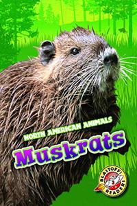 Muskrats