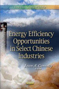 Energy Efficiency Opportunities in Select Chinese Industries