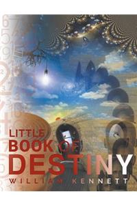 Little Book of Destiny