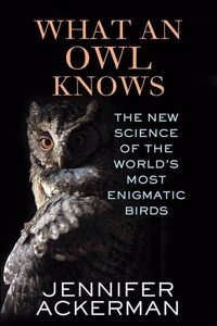 What an Owl Knows