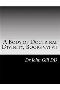 A Body Of Doctrinal Divinity Books V, VI and VII