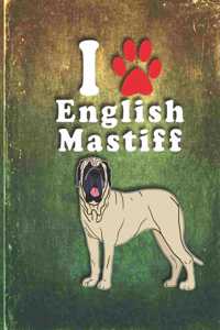 English Mastiff