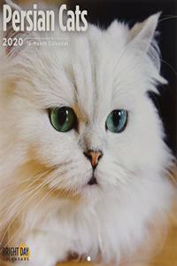 PERSIAN CATS WALL CALENDAR 2020