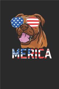 Merica Boxer