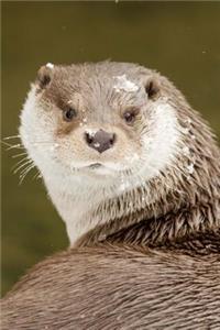 Say Hello to the Otter Dude Journal