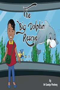 Big Dolphin Rescue