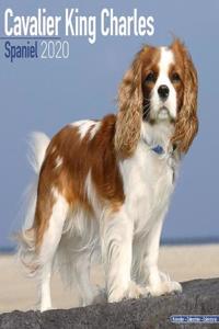 Cavalier King Charles Spaniel Calendar 2020