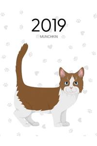 2019 Munchkin