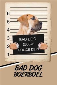 Bad Dog Boerboel
