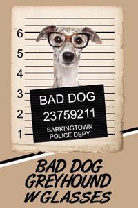 Bad Dog Greyhound W Glasses