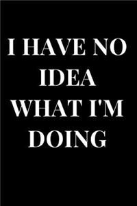I Have No Idea What I'm Doing
