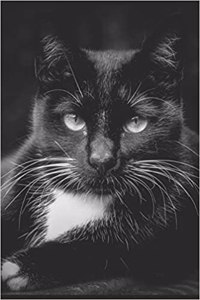 Black Cat Book of Shadows Journal