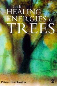 The Healing Energy Of Trees