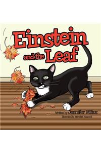Einstein and the Leaf