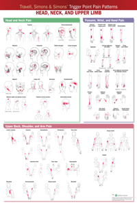 Travell, Simons & Simons' Trigger Point Pain Patterns Wall Chart