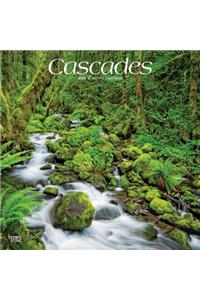 Cascades 2020 Square