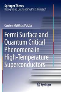 Fermi Surface and Quantum Critical Phenomena of High-Temperature Superconductors