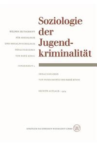 Soziologie Der Jugendkriminalität