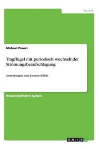 Tragflügel mit periodisch wechselnder Strömungsbeaufschlagung