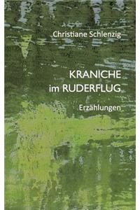 Kraniche im Ruderflug