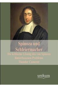Spinoza und Schleiermacher
