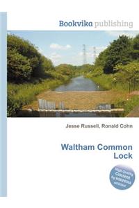 Waltham Common Lock