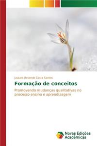 Formação de conceitos