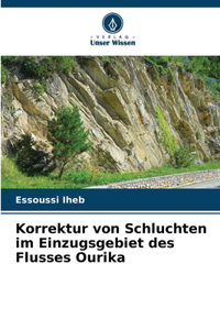 Korrektur von Schluchten im Einzugsgebiet des Flusses Ourika