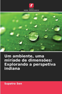 Um ambiente, uma miríade de dimensões